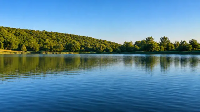 Нова коропова водойма «Липівці»