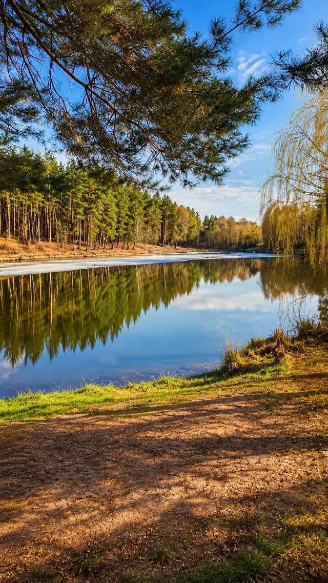 Рибацька стрілка